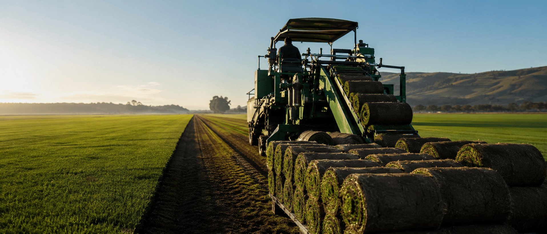 Turf harvester stacking rolls of fresh instant lawn on the Brook Turf farm at golden hour