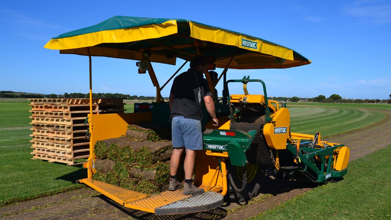 Brook Turf team at the Fleurieu Peninsula farm