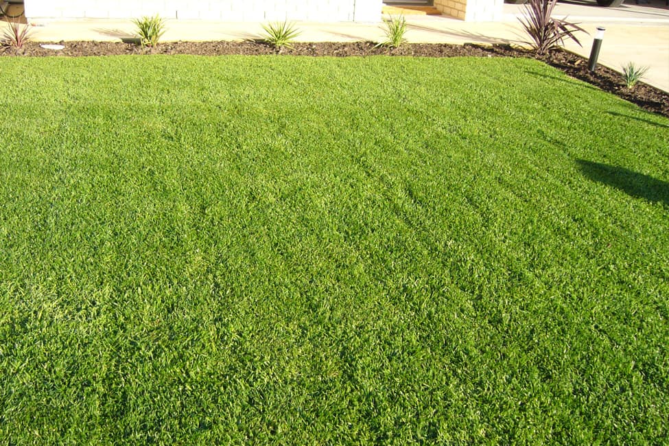 Completed Brook Turf instant lawn project