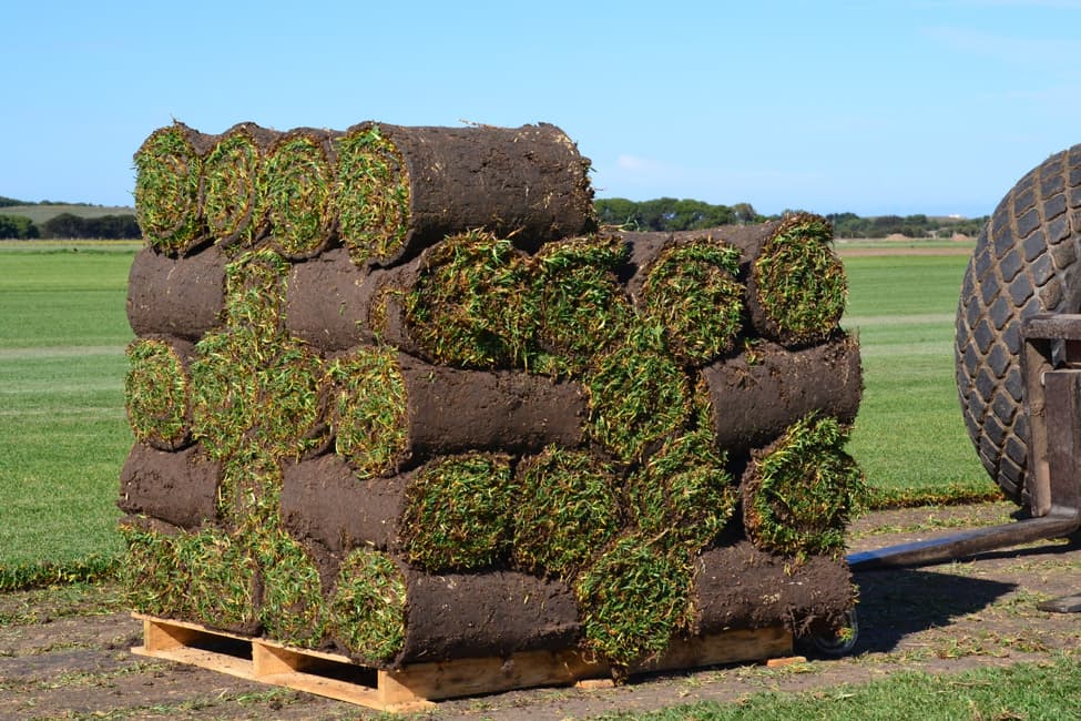 Instant lawn production at Brook Turf