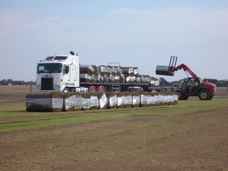 Maxi rolls ready for delivery from Brook Turf